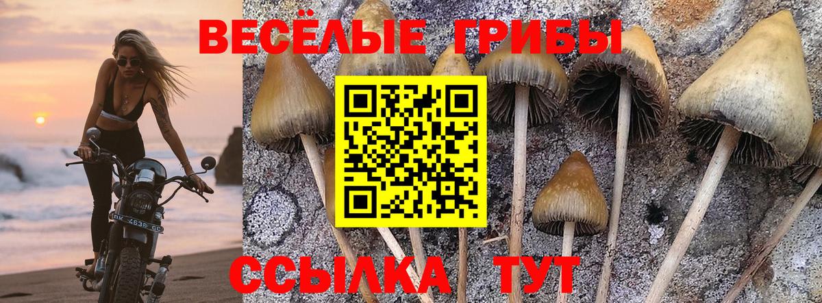 Псилоцибиновые грибы Cubensis Снежинск