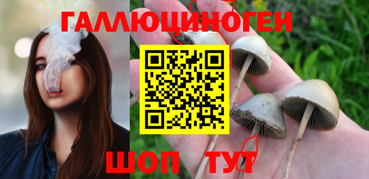Снежинск  Галлюциногенные грибы GOLDEN TEACHER  Галлюциногенные грибы мицелий  Вход с VPN 