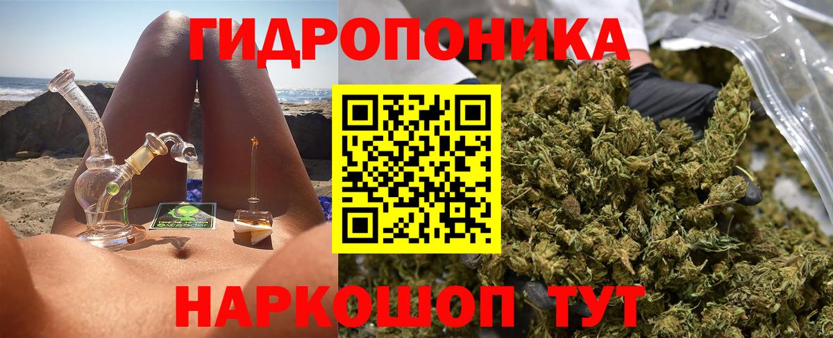 Канабис White Widow  Конопля сатива  Бошки марихуана AK-47  Снежинск  Вход с VPN 